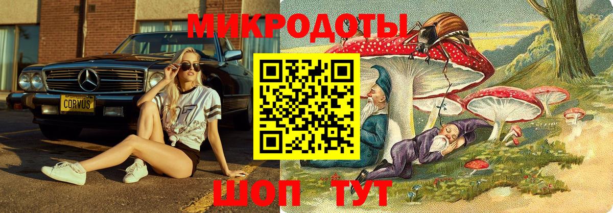 Псилоцибиновые грибы мухоморы Добрянка